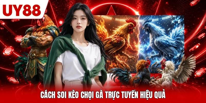 Cách soi kèo chọi gà trực tuyến hiệu quả Cách soi kèo chọi gà trực tuyến hiệu quả