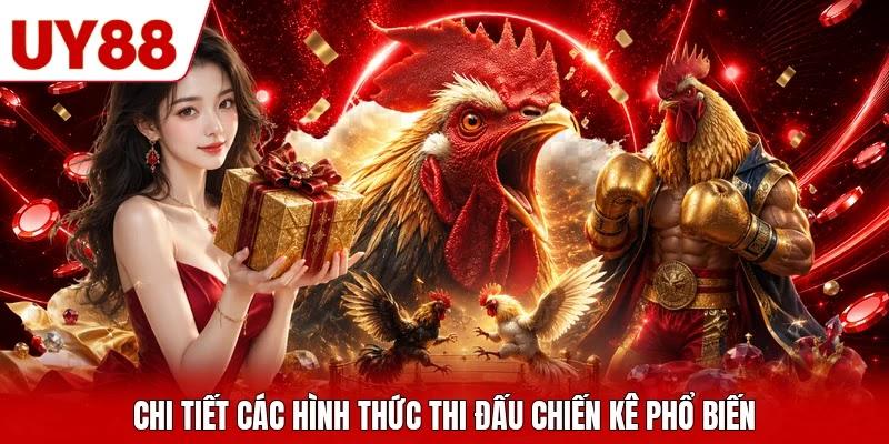 Chi tiết các hình thức thi đấu chiến kê phổ biến Chi tiết các hình thức thi đấu chiến kê phổ biến